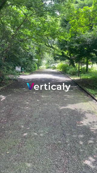 木漏れ日の公園散歩