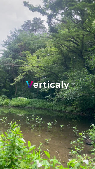 水辺の緑、穏やかな風景