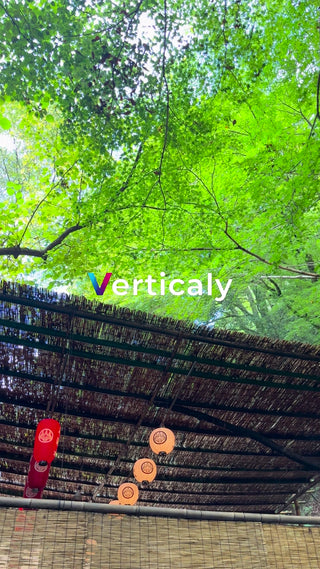 新緑の木漏れ日、癒やしの空間