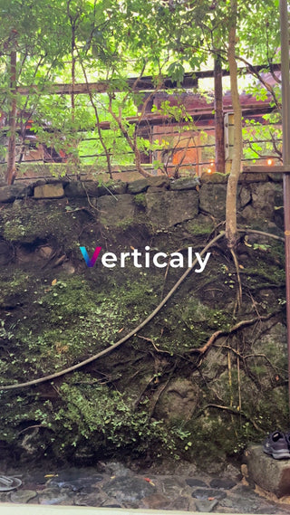 苔むす石垣と緑