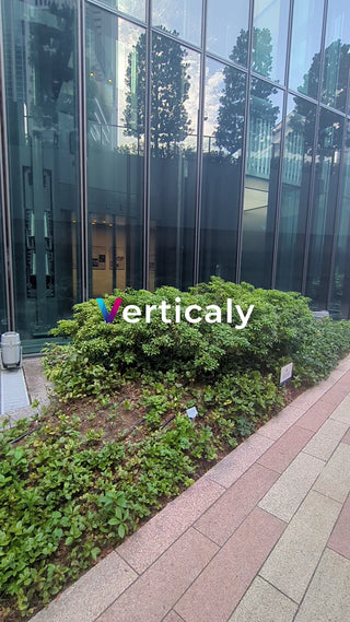 都会のビル、空の青さ