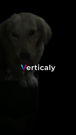 愛犬とまったり過ごす時間