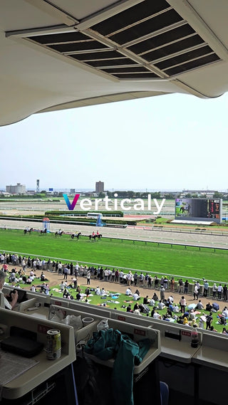 競馬場の観客席、レース観戦