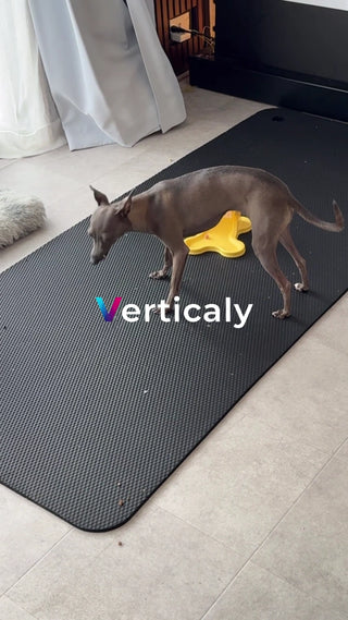 犬とマット、くつろぎの時間