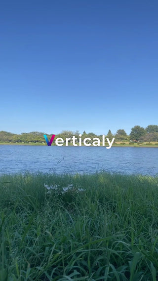 湖畔の風景、穏やかな時間