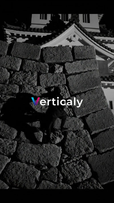 Samurai climbing the castle walls