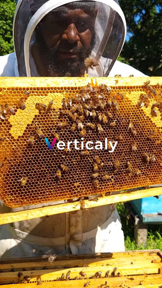 養蜂家の採蜜作業