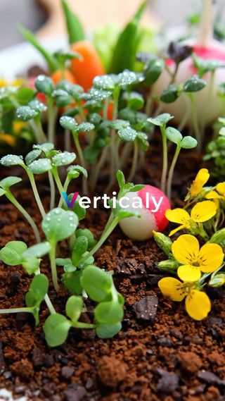 芽吹く生命、みずみずしい