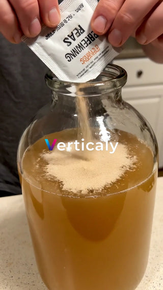 シーンコンテンツ