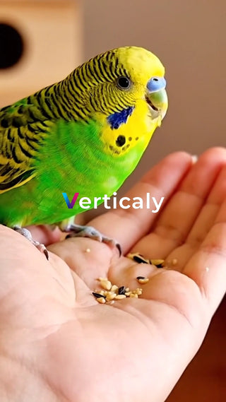 鳥と触れ合う、優しい時間