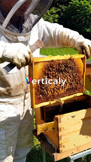 養蜂家の作業、ハチの巣箱