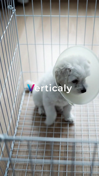 ケージで過ごす子犬