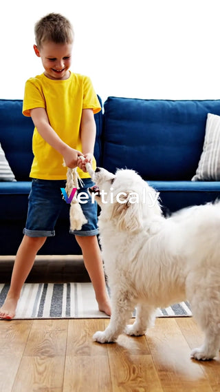 犬と遊ぶ少年、笑顔が眩しい