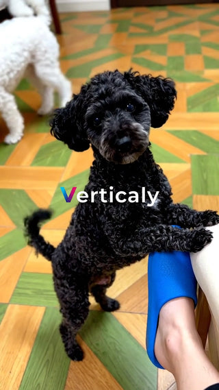 黒い犬、何かを期待