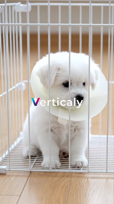 ケージの中の白い子犬