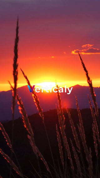 夕焼け空と穂、秋の風景