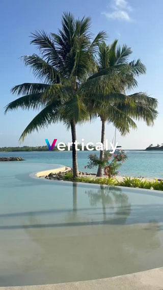 水面に映るヤシの木