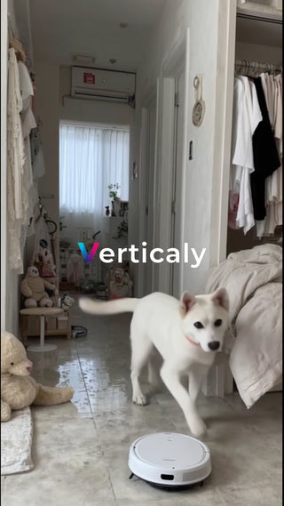 犬とロボット掃除機