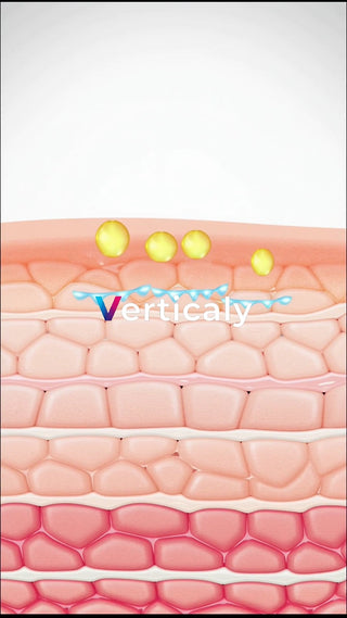 肌の構造、細胞と浸透