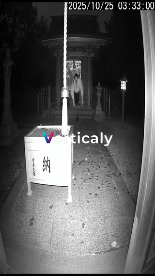 鳥居越しに佇む女性