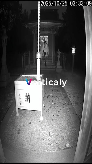 神社で鐘を鳴らす女性