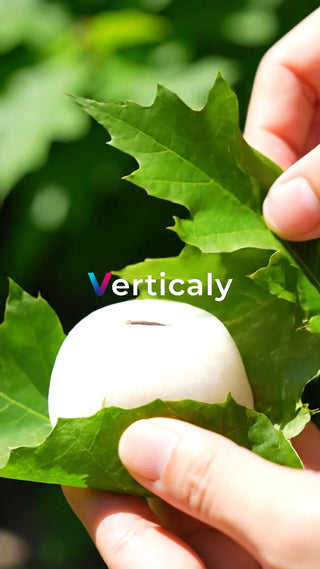 葉っぱに包まれた和菓子