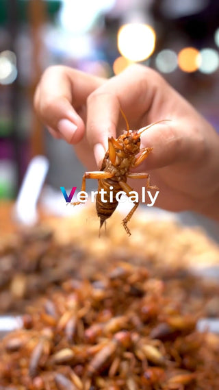 揚げた虫を手に持つ