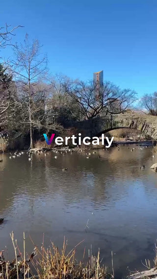 水辺の風景、鴨と石橋